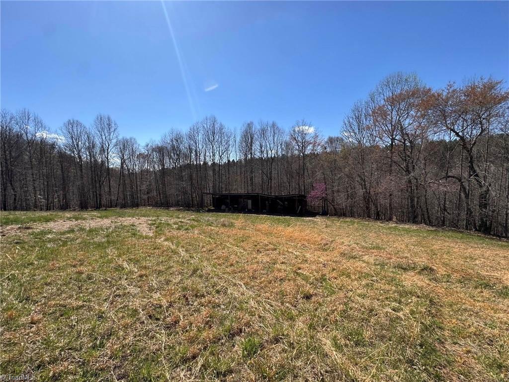 202 Roby Fulk Road Property Photo 16