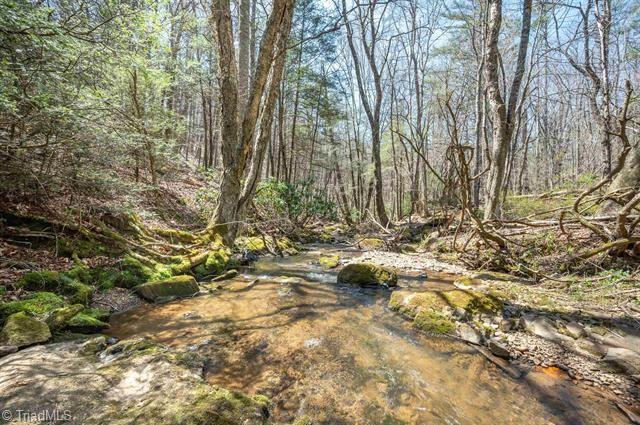 931 Maple Shade Road Property Photo 4