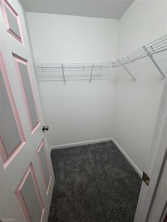207 Willowbrook Drive Property Photo 19