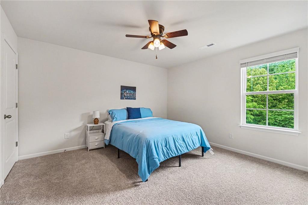163 Green Mallard Way Property Photo 16