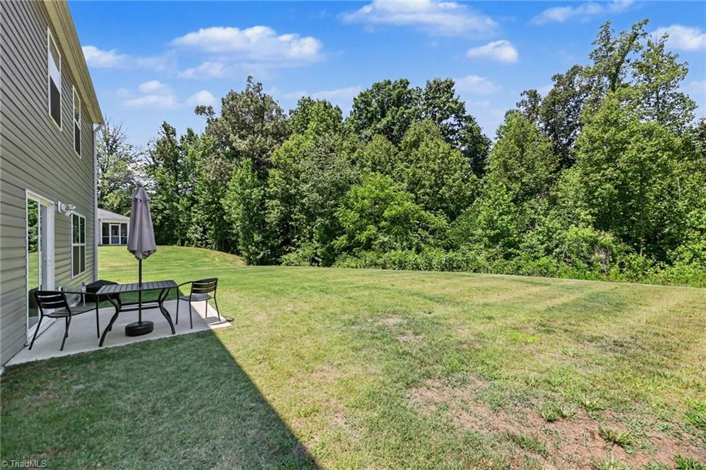 163 Green Mallard Way Property Photo 26