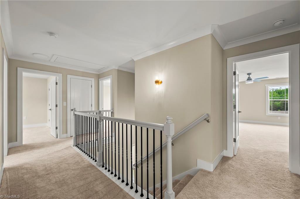 223 Timber Hill Court Property Photo 29