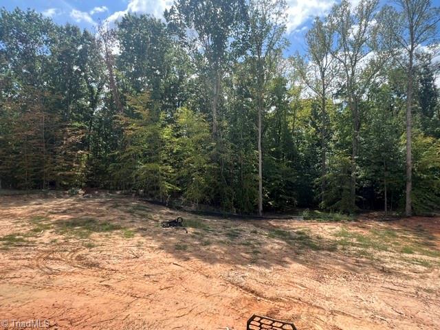 7603 Pemberley Drive Property Photo 32