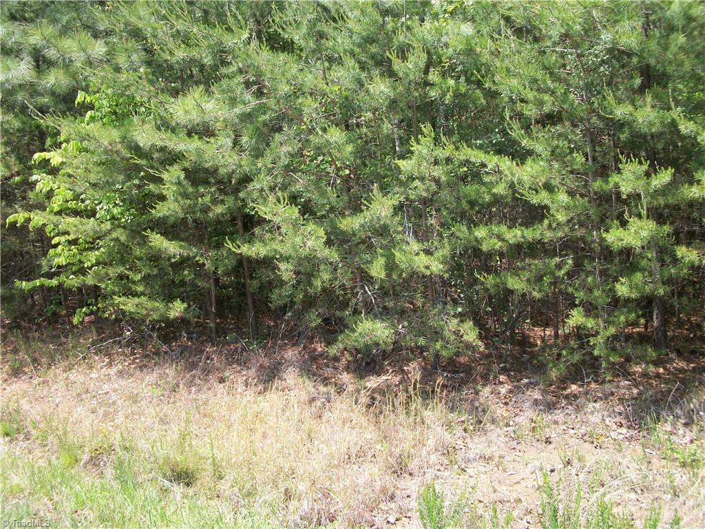 00 Floyd Road Property Photo 6