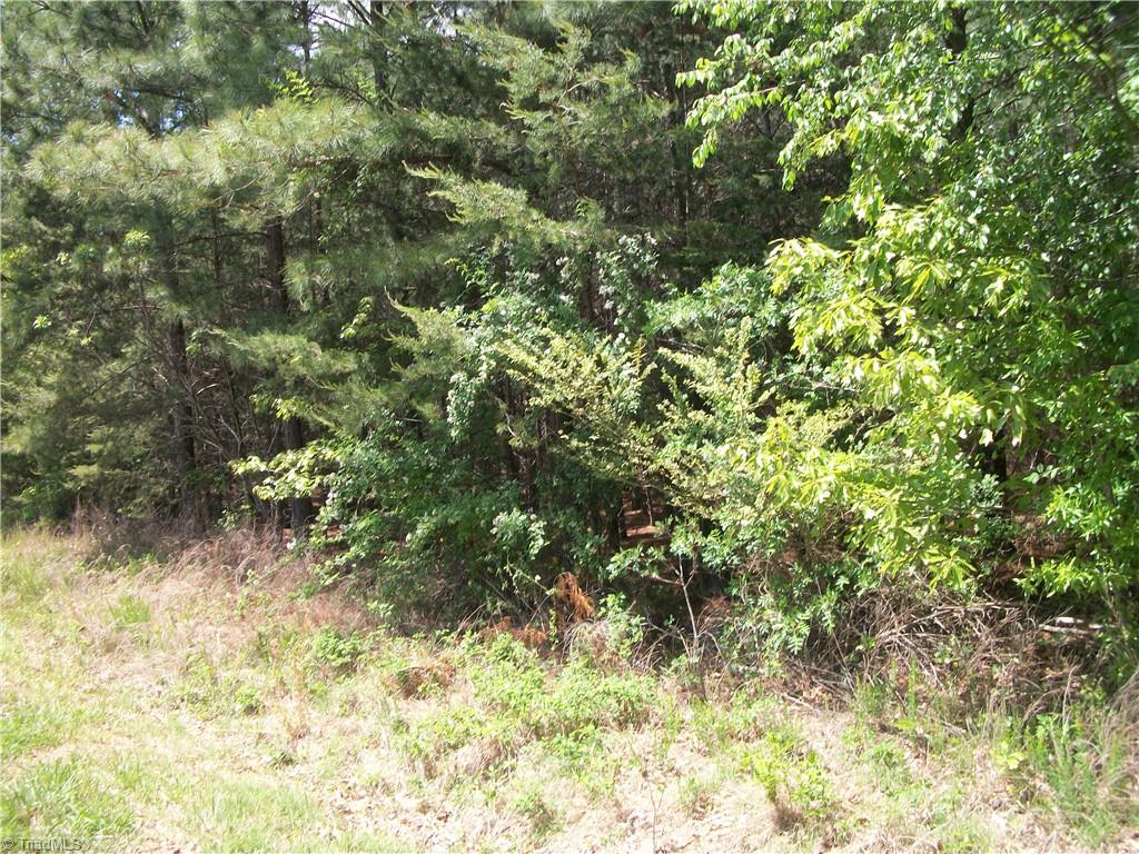 00 Floyd Road Property Photo 7