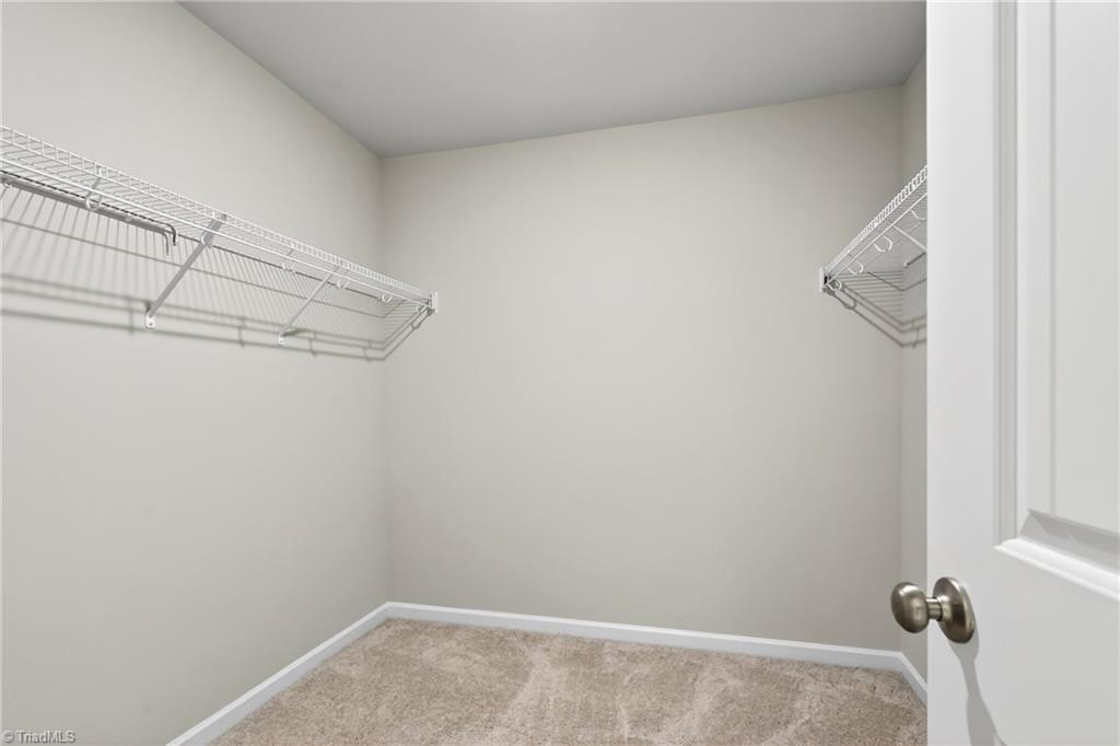 4220 Canter Creek Lane Property Photo 30