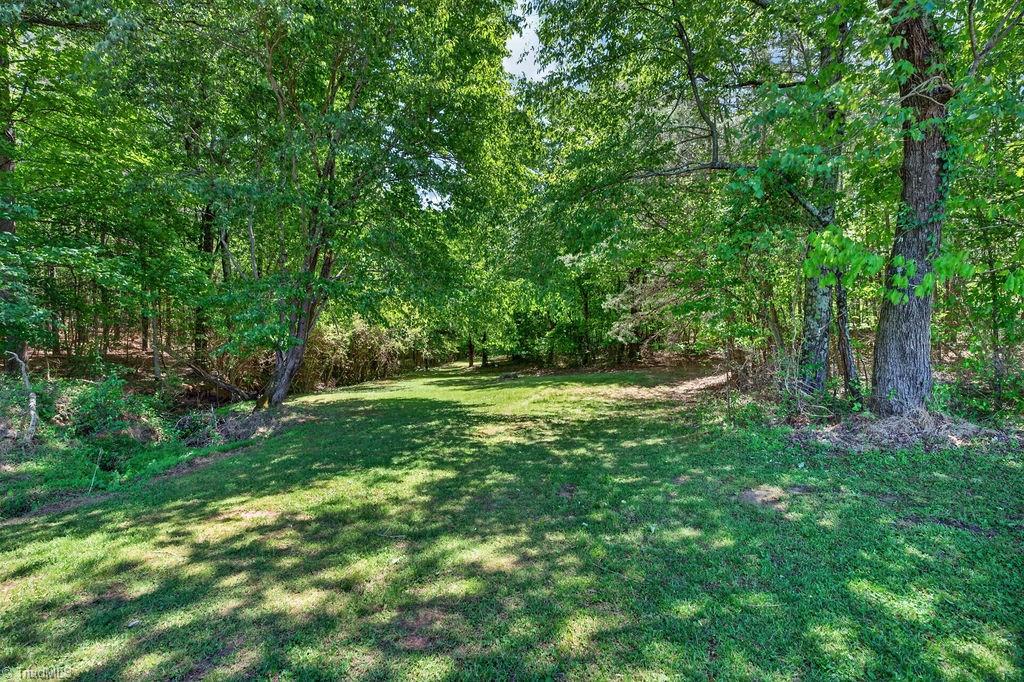 135 Blueridge View Lane Property Photo 41