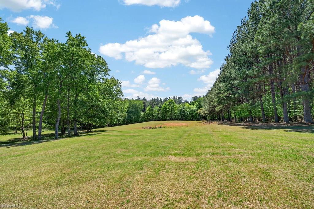135 Blueridge View Lane Property Photo 45