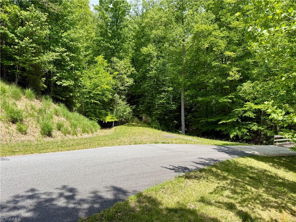 0000 Ashe View Drive Property Photo 1