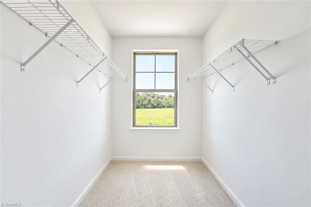 6905 Steeplegate Drive Property Photo 21