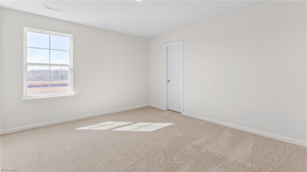 2377 Foxtail Lane Property Photo 22