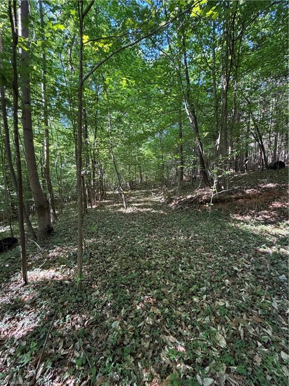 0 Partridge Drive Property Photo 9