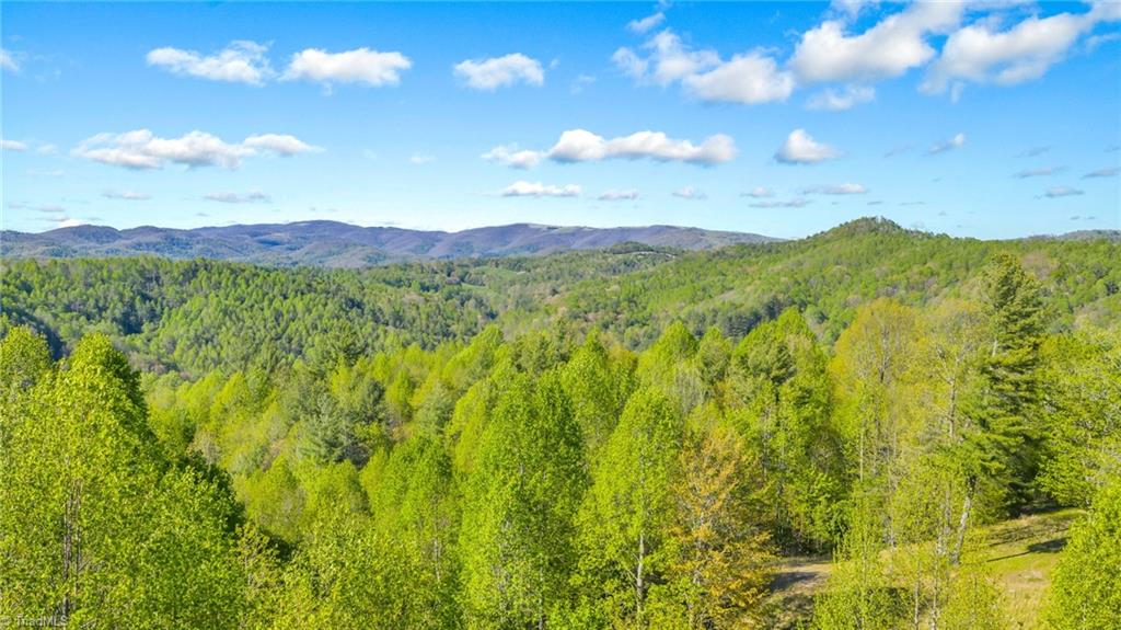 5939 Big Laurel Road Property Photo 3