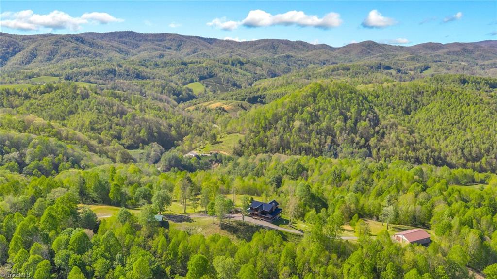 5939 Big Laurel Road Property Photo 8