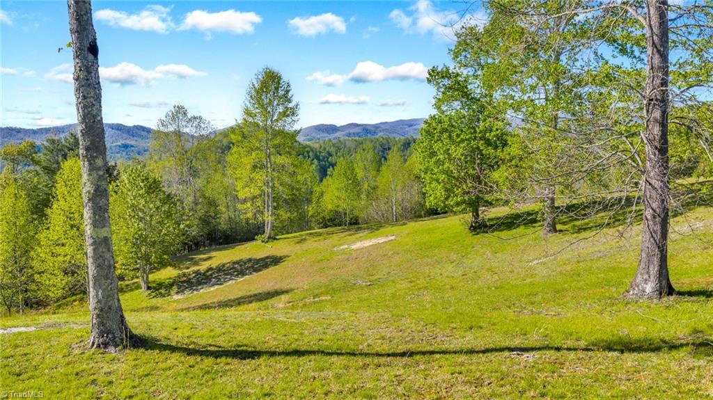 5939 Big Laurel Road Property Photo 10