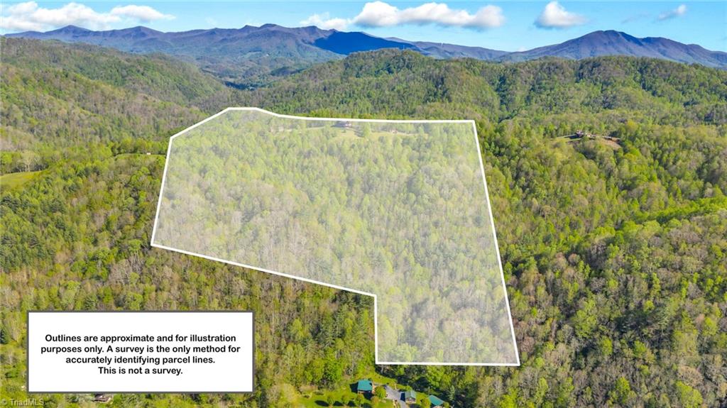 5939 Big Laurel Road Property Photo 49
