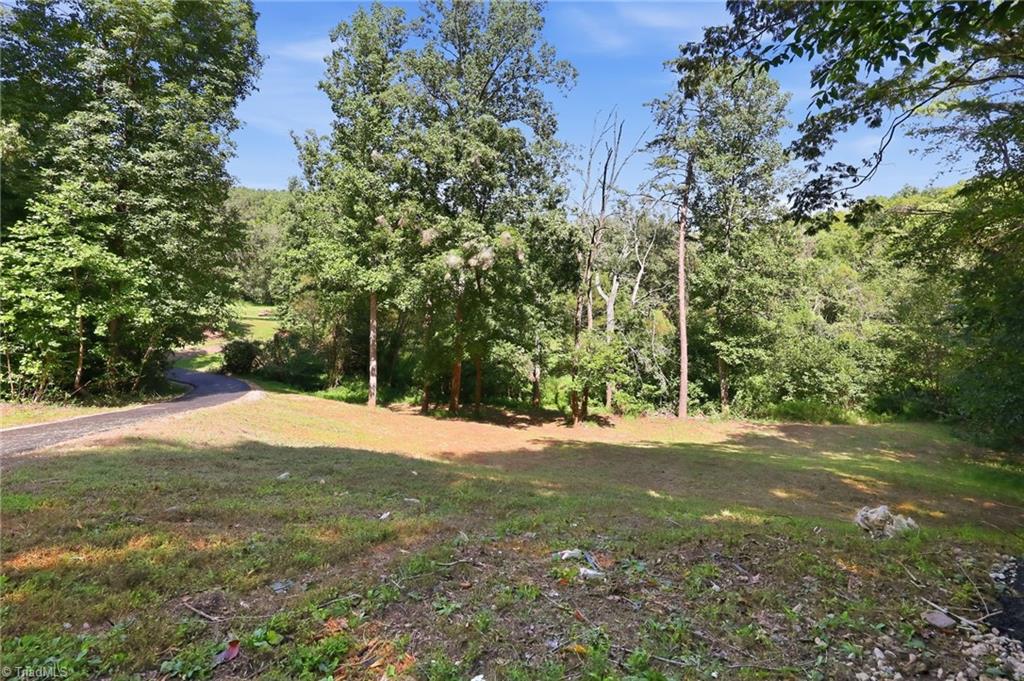 1402 Good Hope Drive Property Photo 27