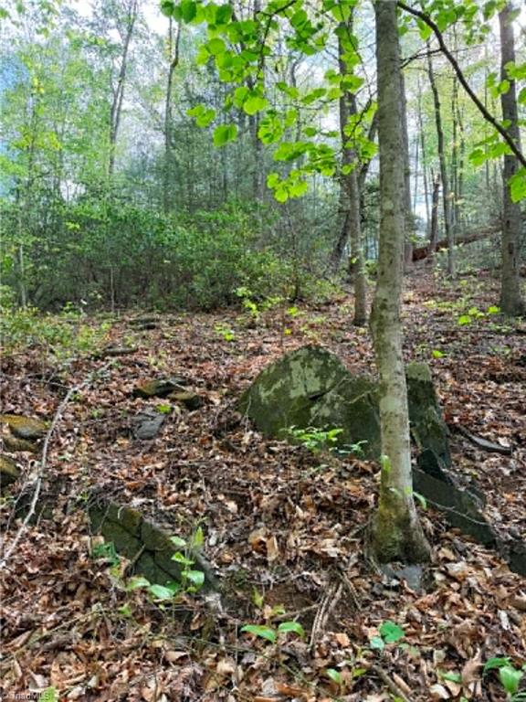 Tbd Shoe Road Property Photo 10