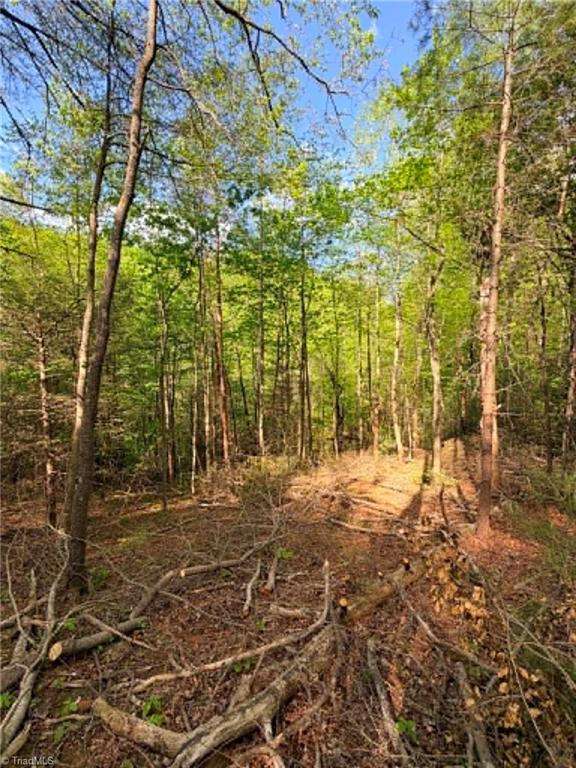 Tbd Shoe Road Property Photo 11