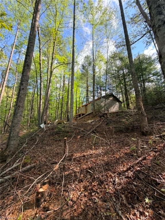 Tbd Shoe Road Property Photo 13