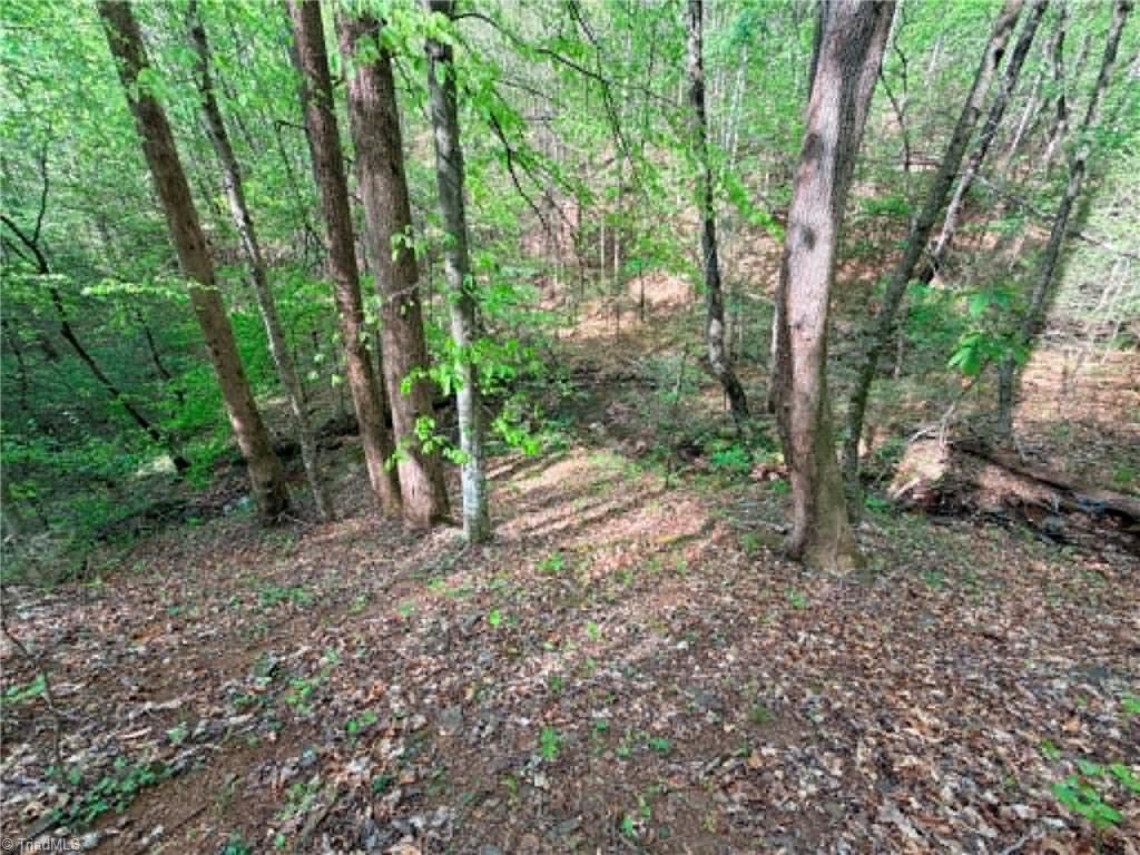 Tbd Shoe Road Property Photo 14