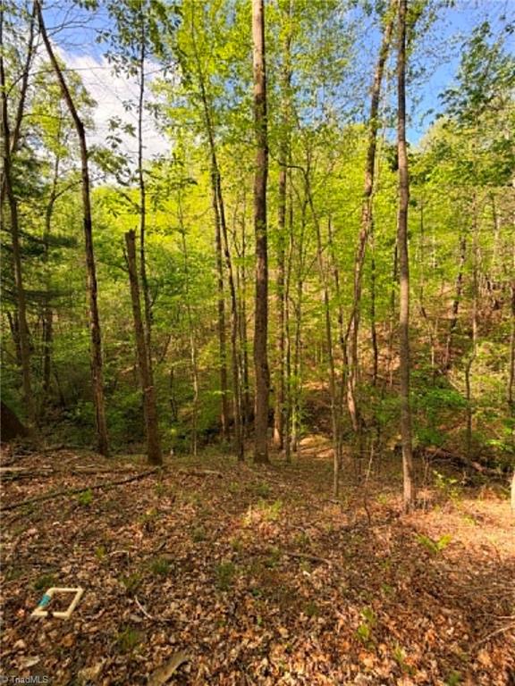 Tbd Shoe Road Property Photo 15