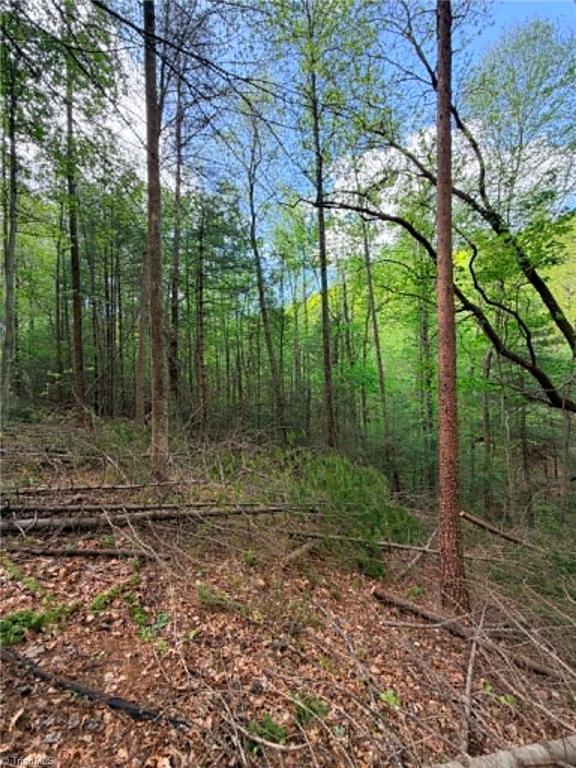 Tbd Shoe Road Property Photo 16
