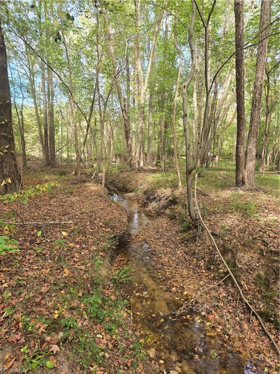 0 Bass Mountain Road Property Photo 5