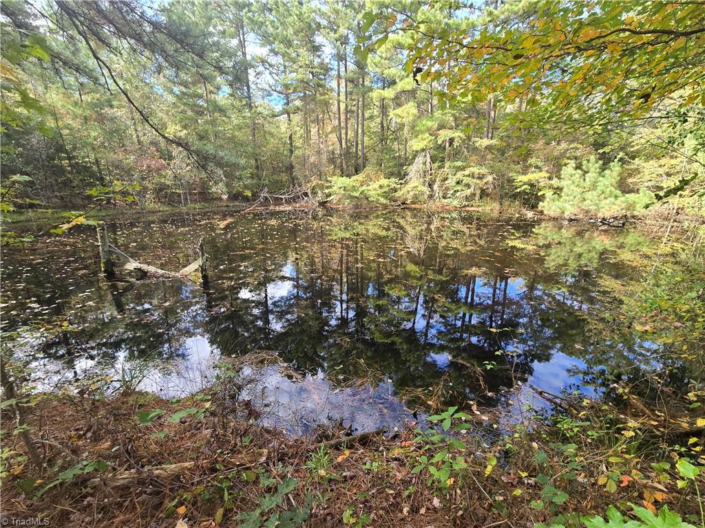 0 Bass Mountain Road Property Photo 7