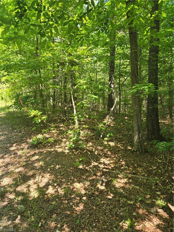 0 Bass Mountain Road Property Photo 9