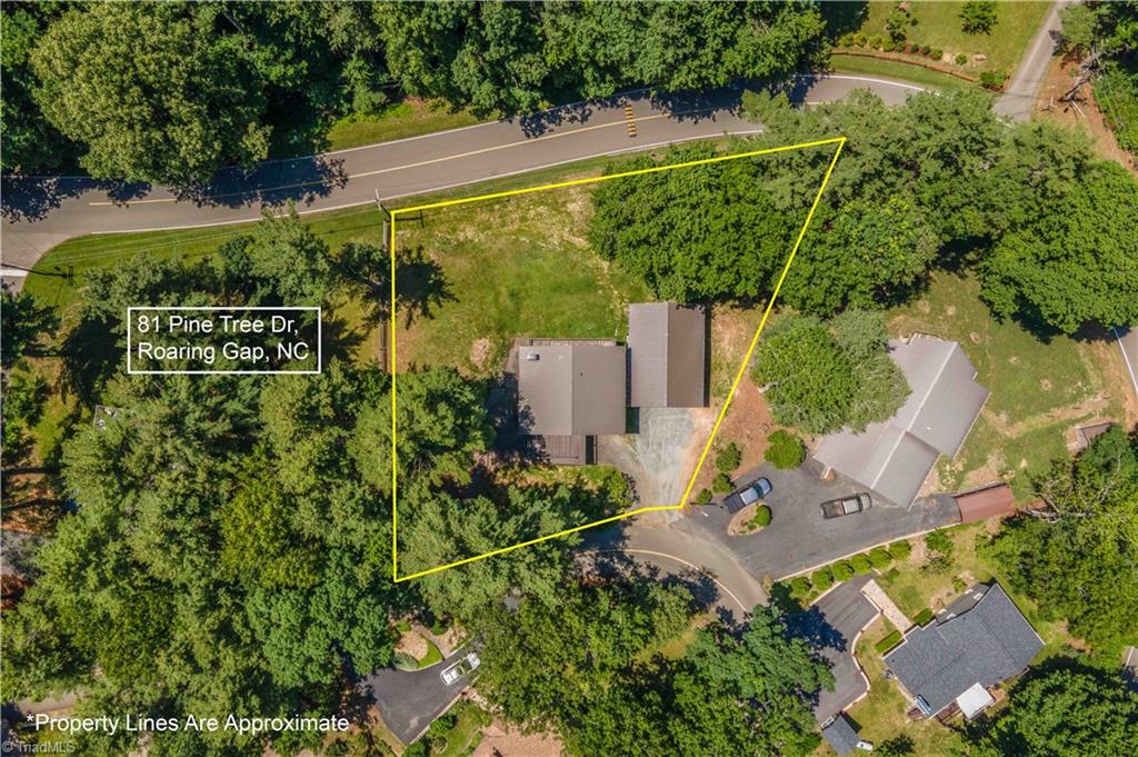 81 Pine Tree Drive Property Photo 46