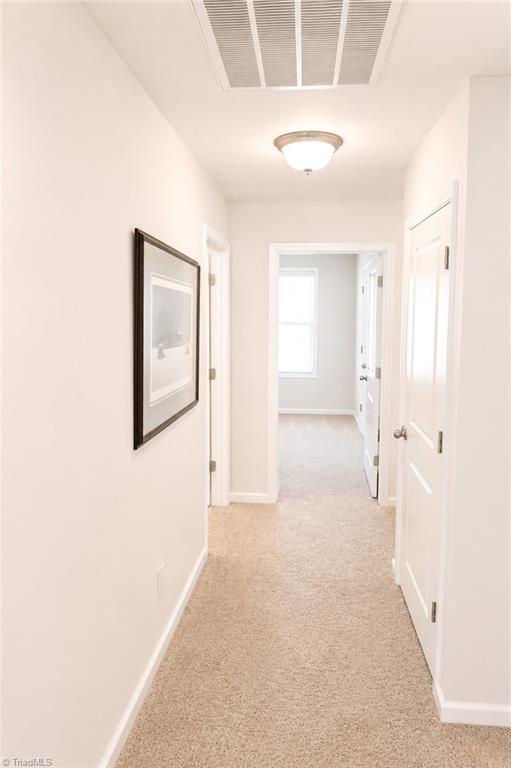 807 Riley Lane Property Photo 25