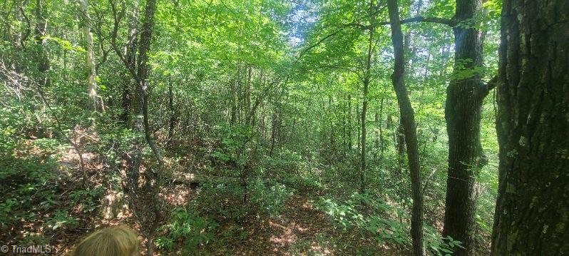 000 Wild Turkey Road Property Photo 4