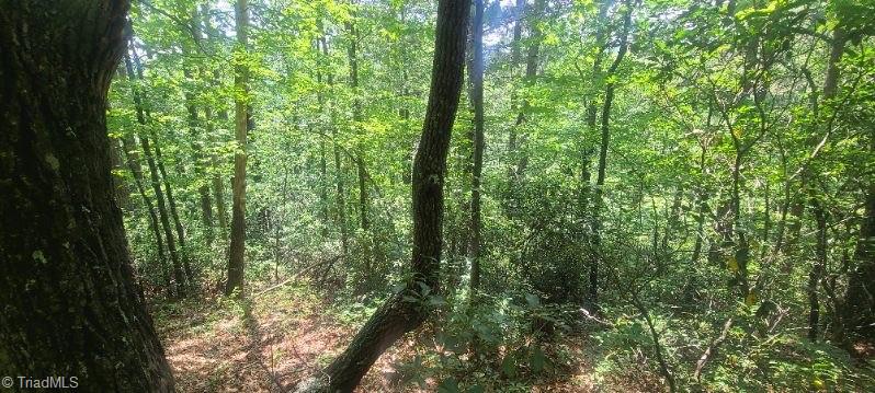 000 Wild Turkey Road Property Photo 5
