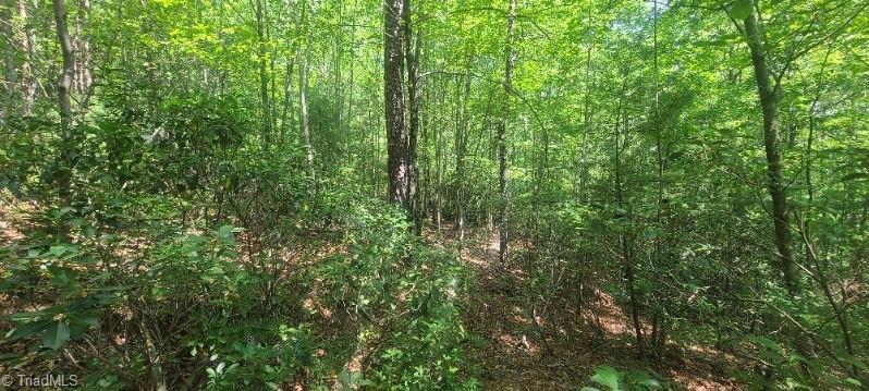000 Wild Turkey Road Property Photo 6
