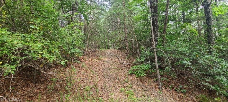 000 Wild Turkey Road Property Photo 7