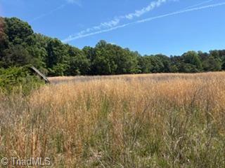 4275 Grubbs Road Property Photo 11