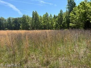 4275 Grubbs Road Property Photo 12