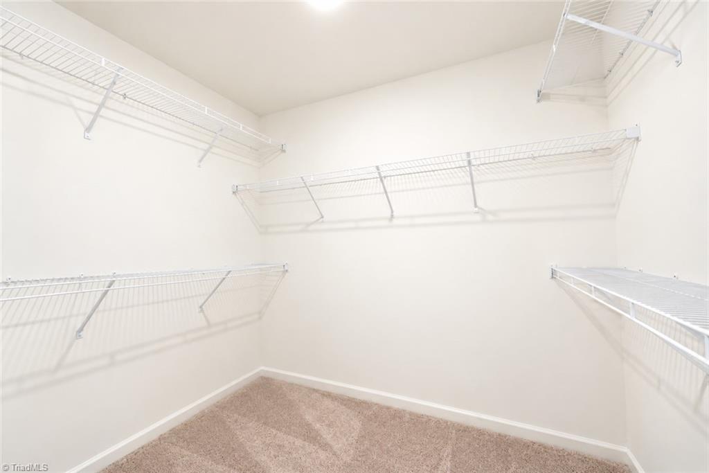 6909 Steeplegate Drive Property Photo 22