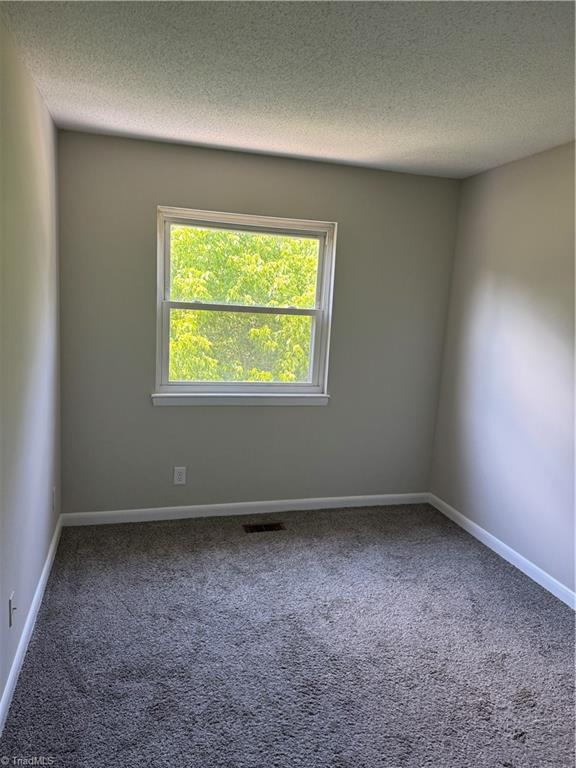 1039 Turtle Rock Lane Property Photo 19