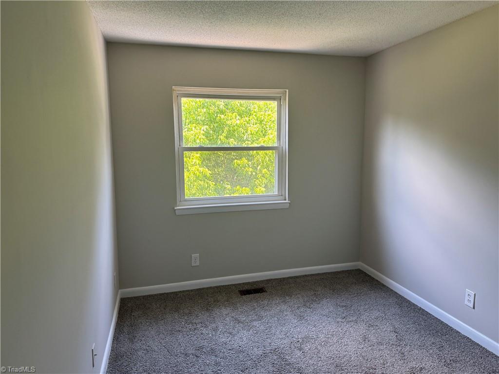 1039 Turtle Rock Lane Property Photo 20