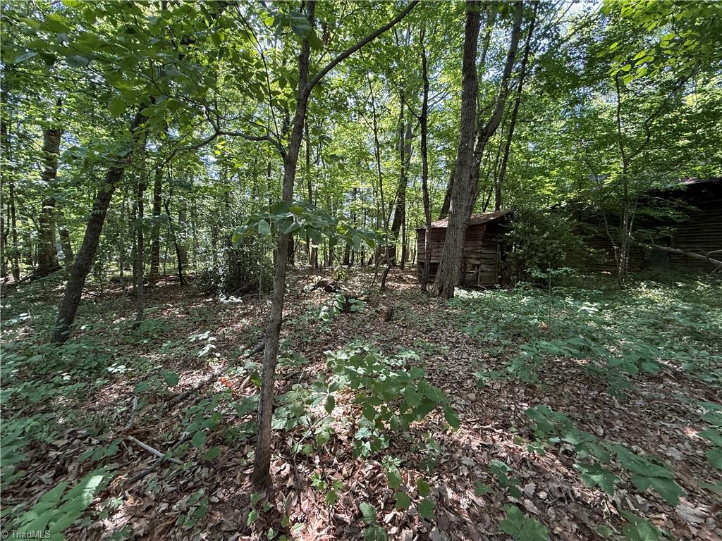 607 Kirby Road Property Photo 11
