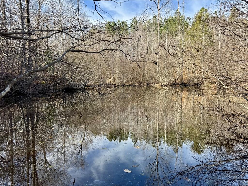 12101 Nc Highway 86 Property Photo 3