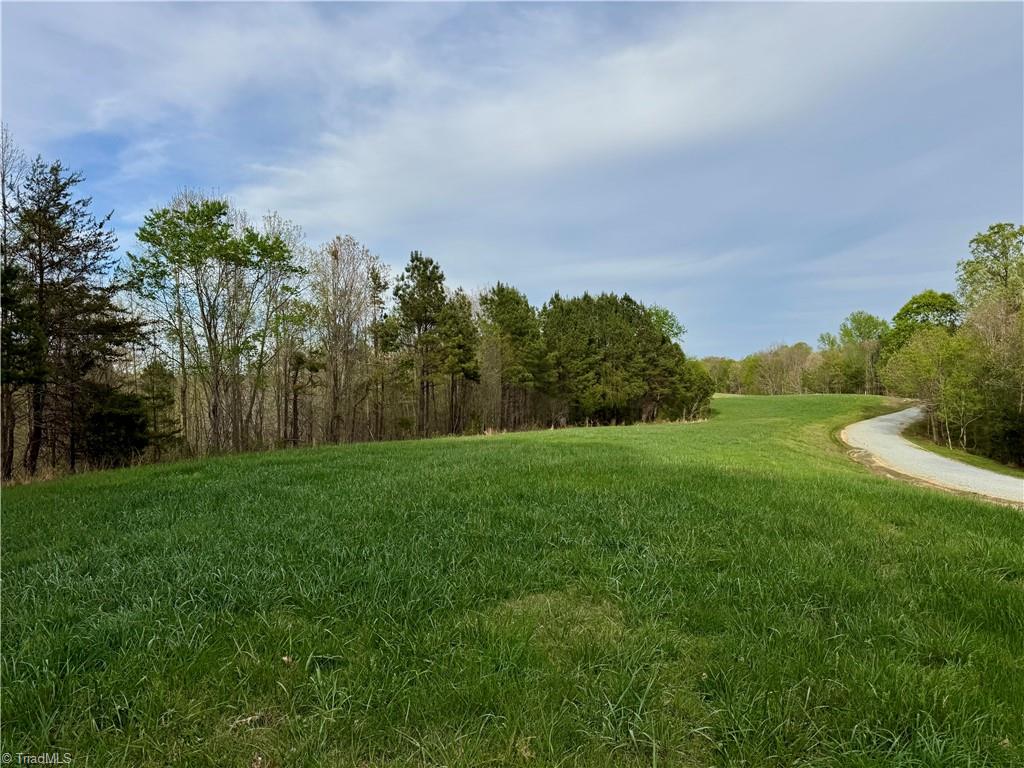 12101 Nc Highway 86 Property Photo 6