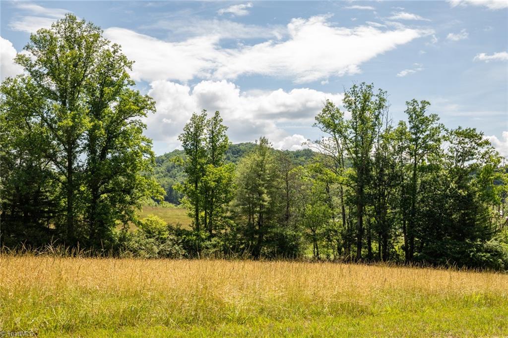 Tbd Shingle Gap Road Property Photo 2