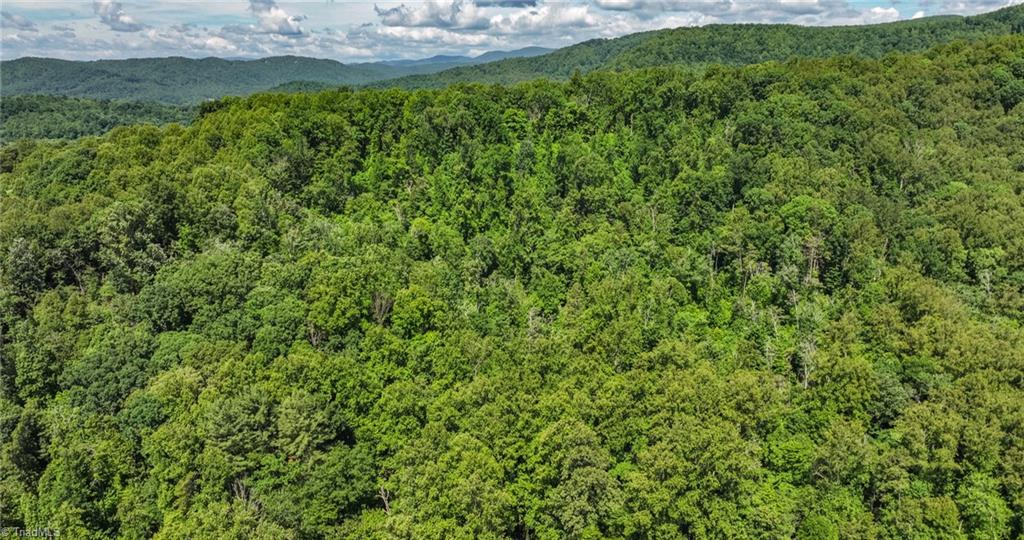 Tbd Shingle Gap Road Property Photo 5