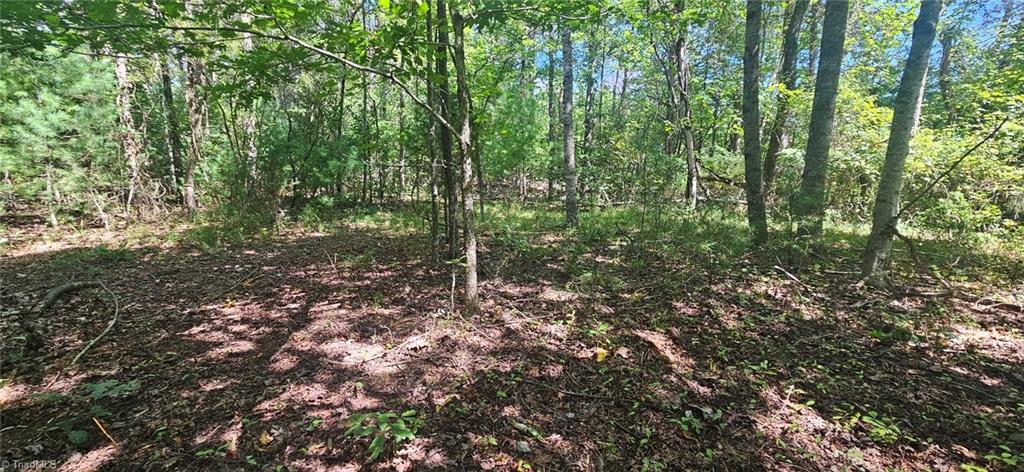 552 Tom Hunter Road Property Photo 34