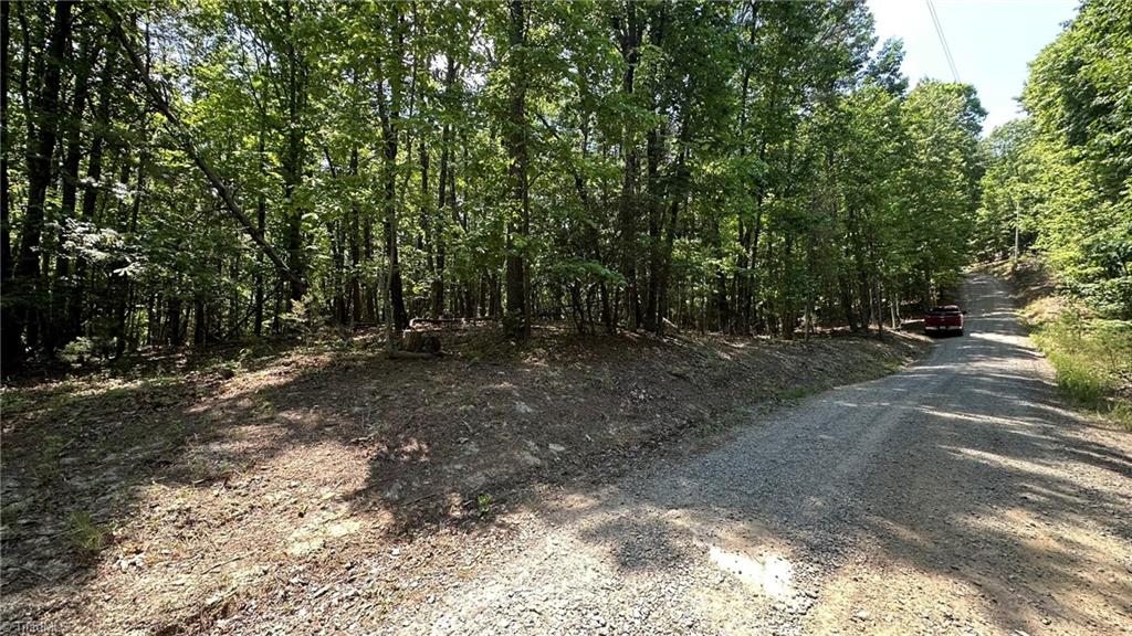 000 Idlewild Drive Property Photo 1