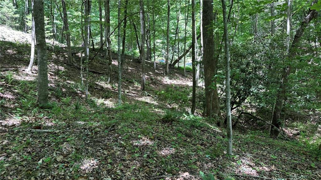000 Idlewild Drive Property Photo 6