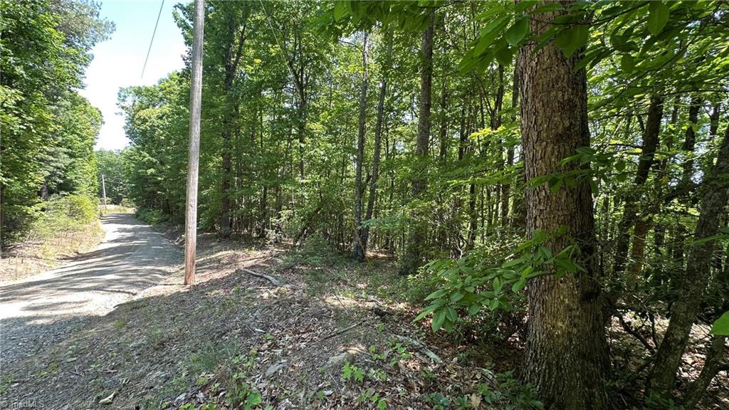 000 Idlewild Drive Property Photo 8